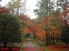 dscf0195_small.jpg