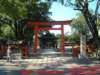 dscf0213_small.jpg