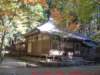 dscf0222_small.jpg