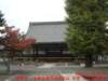 dscf0231_small.jpg