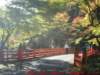 dscf0244_small.jpg
