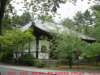 dscf02462_small.jpg