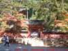 dscf02542_small.jpg