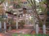 dscf02543_small.jpg