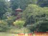 dscf0254_small.jpg