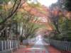 dscf02563_small.jpg