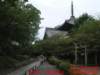dscf0276_small.jpg