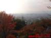 dscf0295_small.jpg