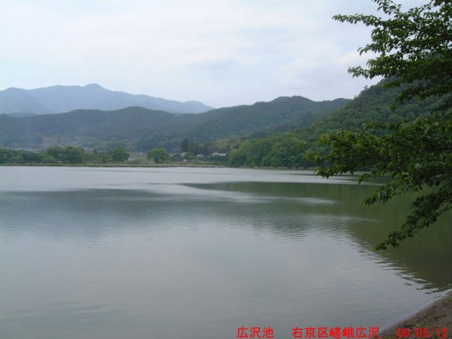 dscf03072.jpg