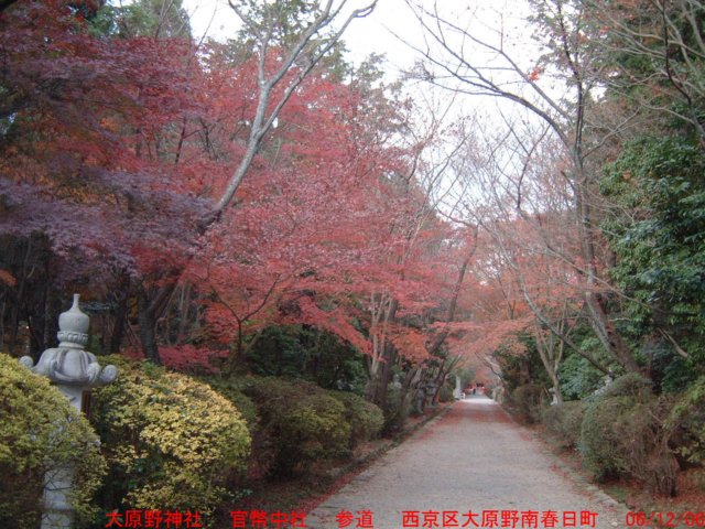 dscf03073.jpg