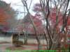 dscf03202_small.jpg