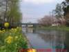 dscf03222_small.jpg