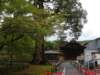 dscf0338_small.jpg