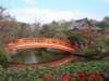 dscf0384_small.jpg