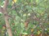p1010252_small.jpg