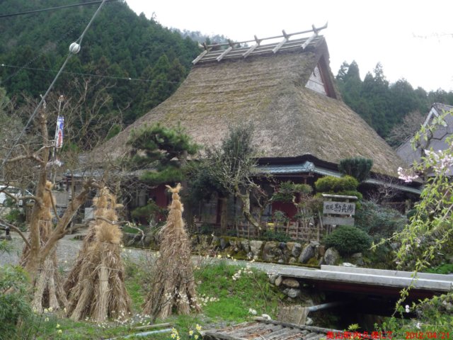 p1060633.jpg