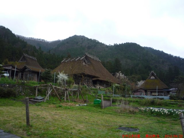 p1060660.jpg