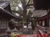 dscf0011_small.jpg