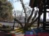 dscf0017_small.jpg