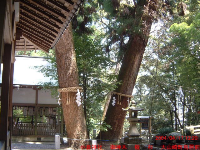 dscf0026.jpg