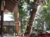 dscf0026_small.jpg
