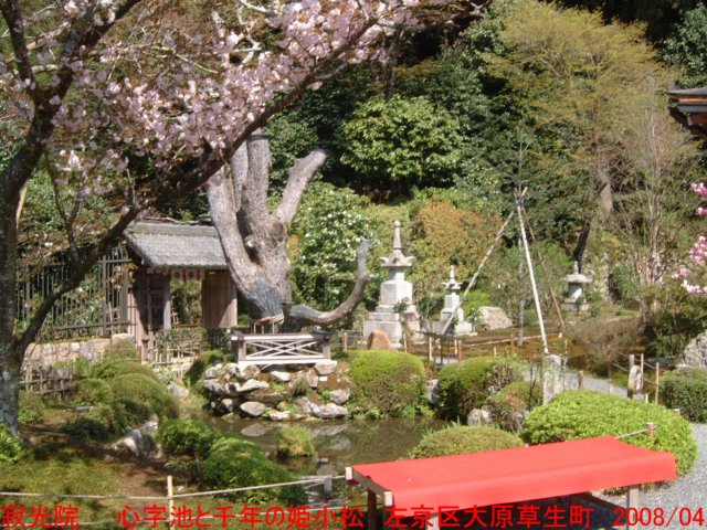 dscf0061.jpg