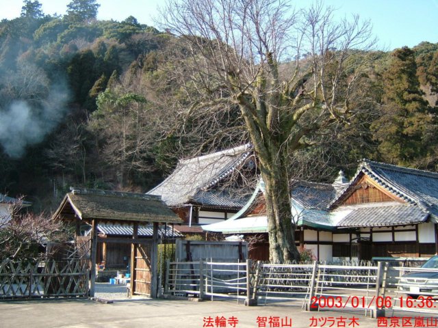 dscf0062.jpg