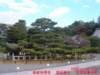 dscf0065_small.jpg