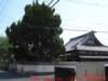 dscf0073_small.jpg