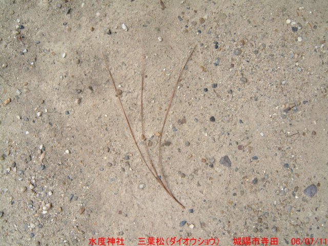 dscf0074.jpg