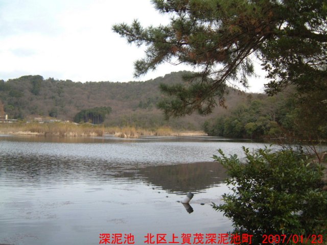 dscf0089.jpg