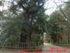 dscf0090_small.jpg