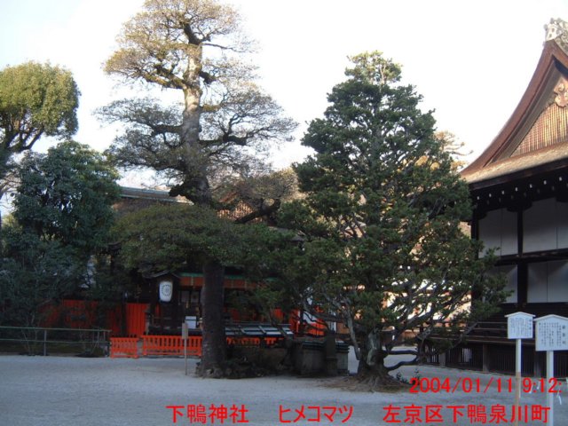 dscf0095.jpg