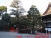 dscf0095_small.jpg