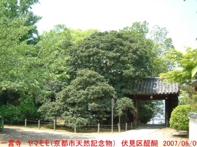 dscf0096.jpg