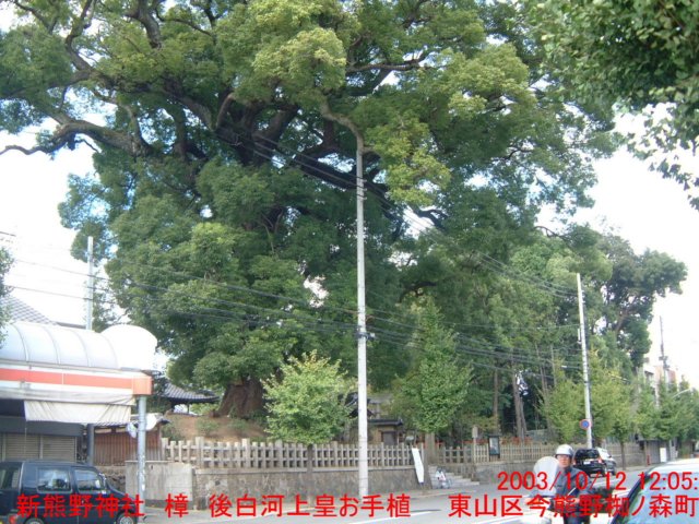 dscf0118.jpg