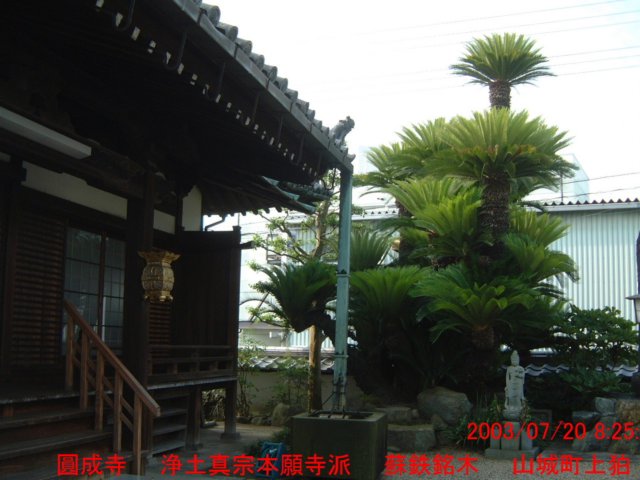 dscf0122.jpg