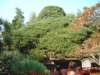 dscf0129_small.jpg