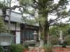 dscf0144_small.jpg