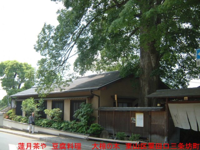 dscf0155.jpg