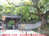 dscf0158_small.jpg