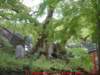 dscf0160_small.jpg