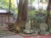 dscf0161_small.jpg