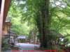 dscf0173_small.jpg