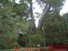 dscf0176_small.jpg