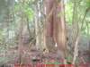 dscf0188_small.jpg