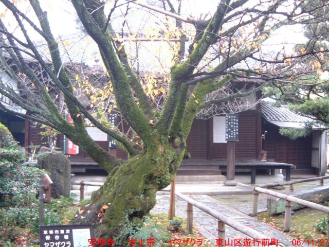 dscf0189.jpg