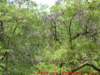 dscf0216_small.jpg