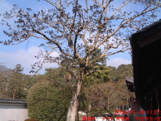 dscf02192.jpg