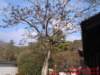 dscf02192_small.jpg